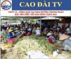 CDTV 15 - MOTHER GODDESS FESTIVAL 2016 - WORKING IN THE KITCHEN